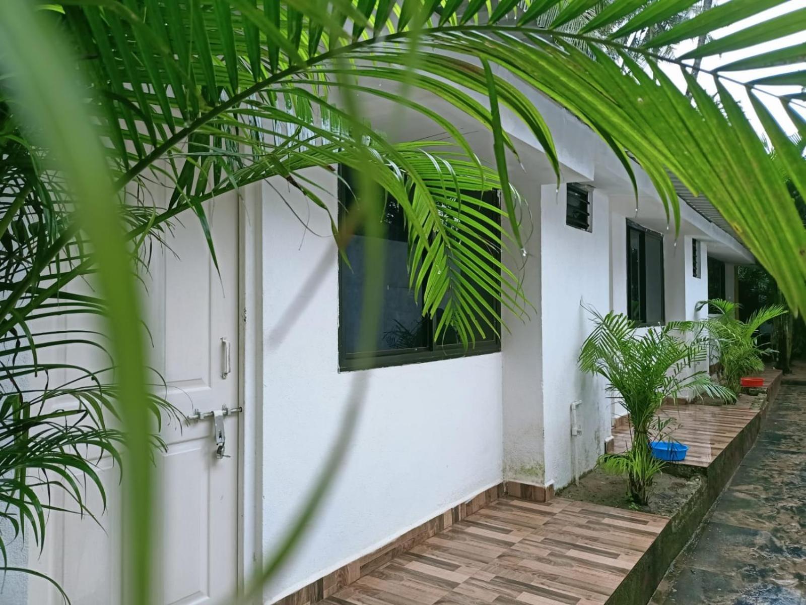 Royal Touch Beach Huts Palolem Extérieur photo